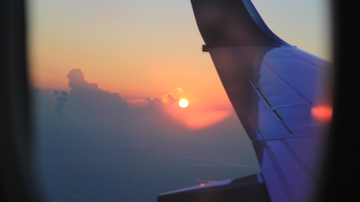 Aircraft wing from a window